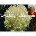 Tremella fuciformis extract; Tremella fuciformis extract powder